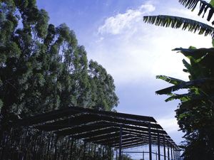 TELHADO E CÉU
