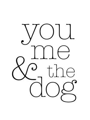 YOU ME & THE DOG
