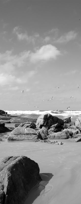 PRAIA DO LUZ 3