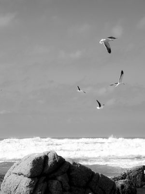 PRAIA DO LUZ 5