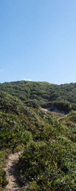 TRILHA 2