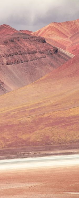DESERT TREASURES