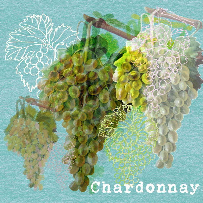CHARDONNAY