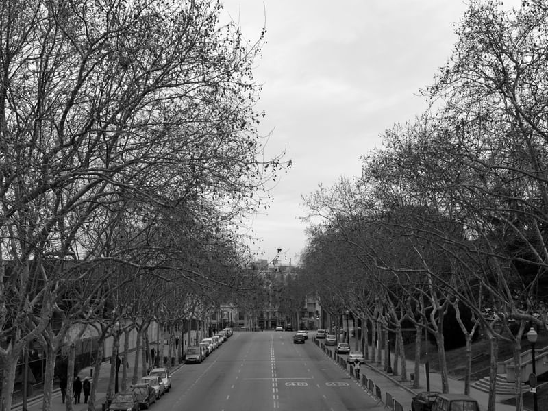RUAS DE BARCELONA II