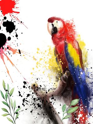 ARARA X