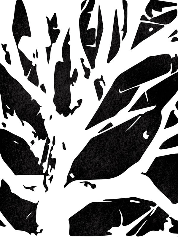 ARVORE ABSTRATA II