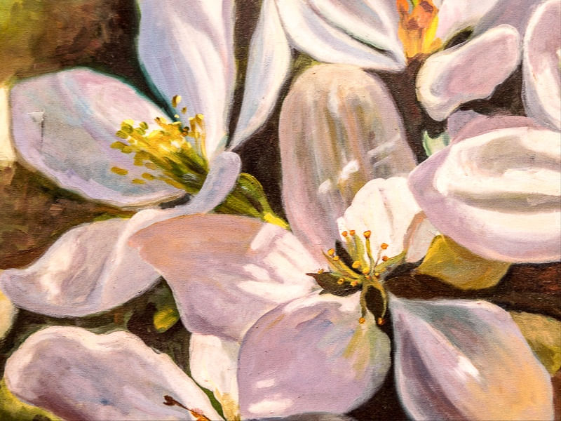 JASMIM ART