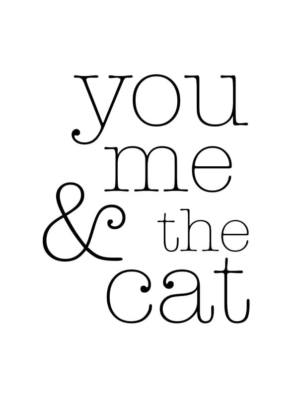 YOU ME & THE CAT