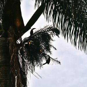 O TUCANO N°2 - 2021