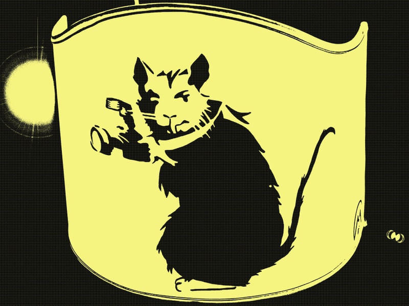 MOUSE PHOTO 1
