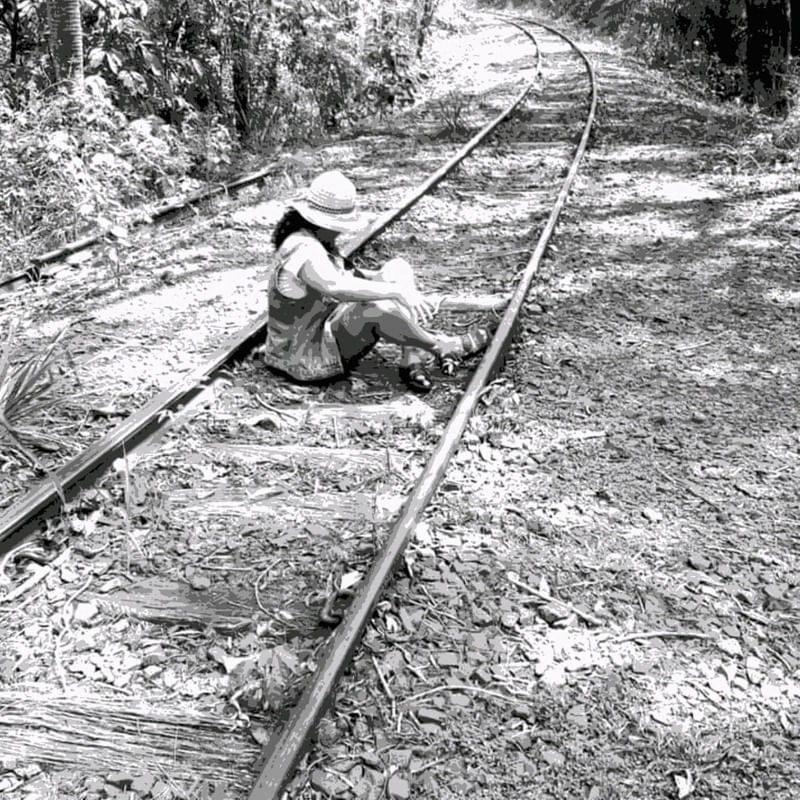 TRAIN LINE, TRAJECTORY OF LIFE