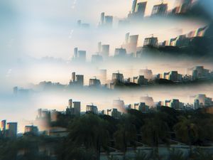 THROUGH THE LOOKING GLASS (2)