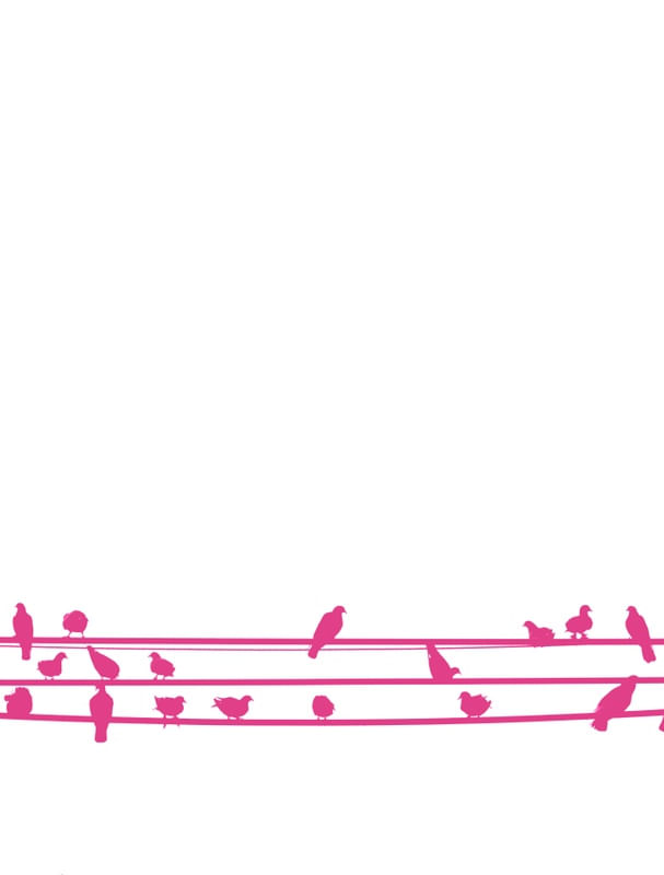 PINK BIRDS