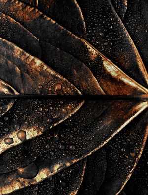 GOLD LEAF