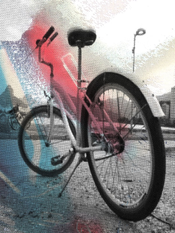 BIKE RETICULADA