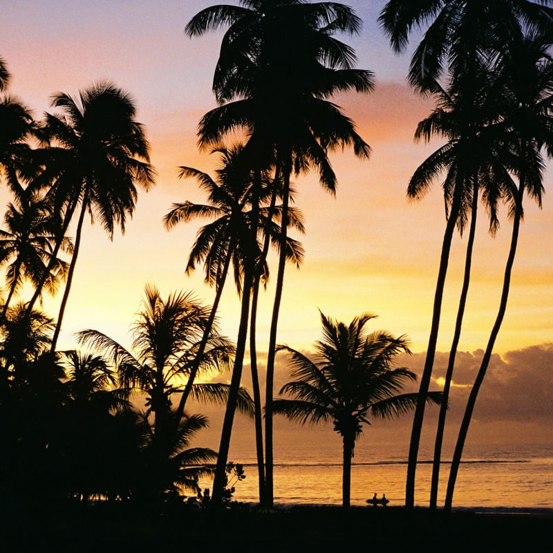 PRAIA DO FRANCÊS D