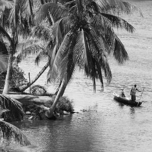 LAGOA MANGUABA N