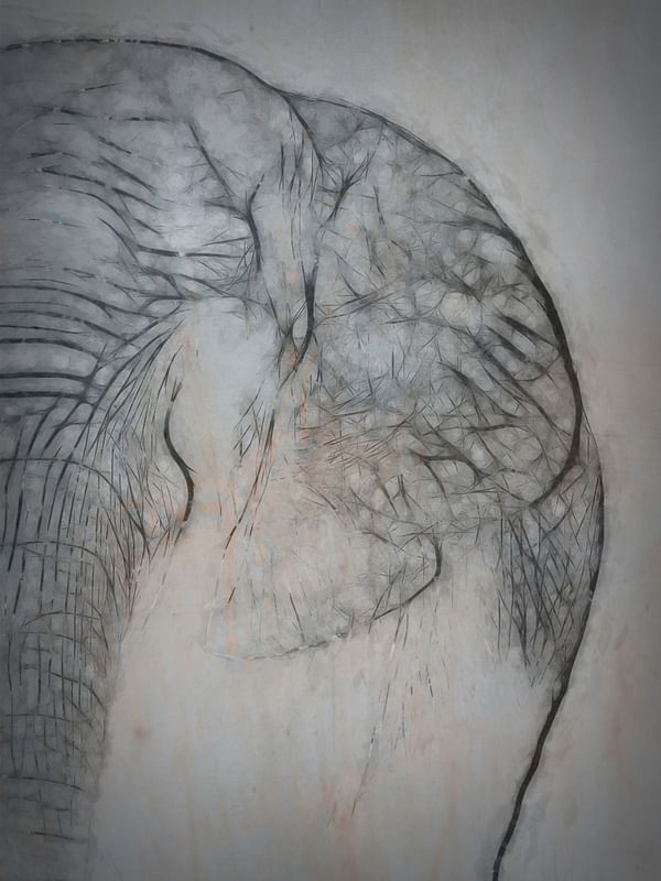 EL ELEPHANTE