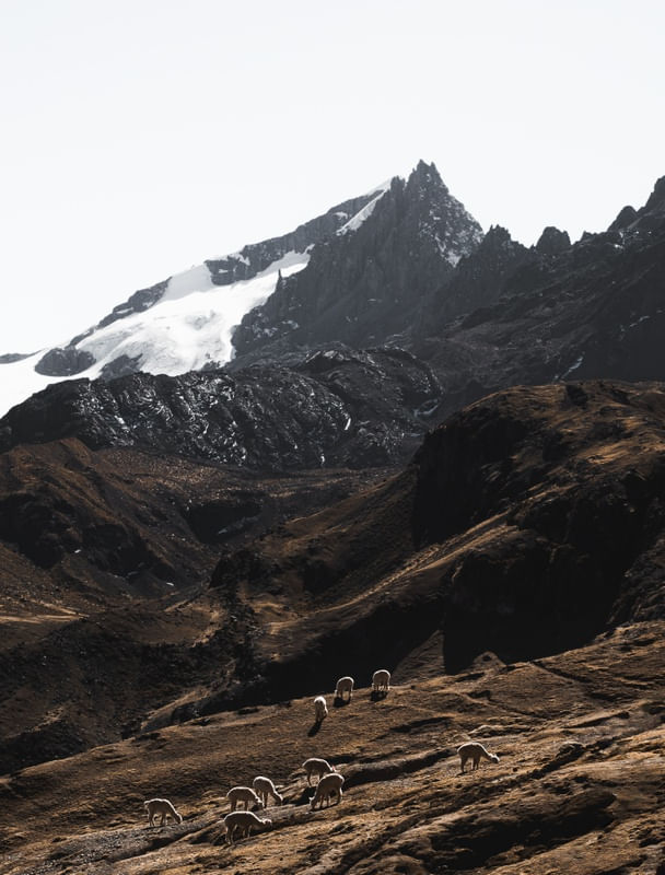 MONTANHAS ANDINAS VINICUNCA I