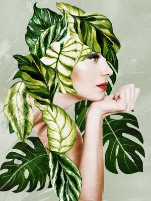 PLANT MOM