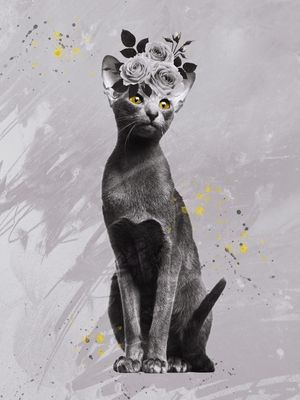 GRAY AND ILLUMINATING COLORS CAT