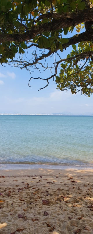 FLORIPA VERTICAL