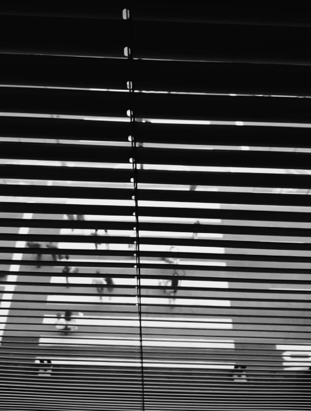 MASP BLINDS