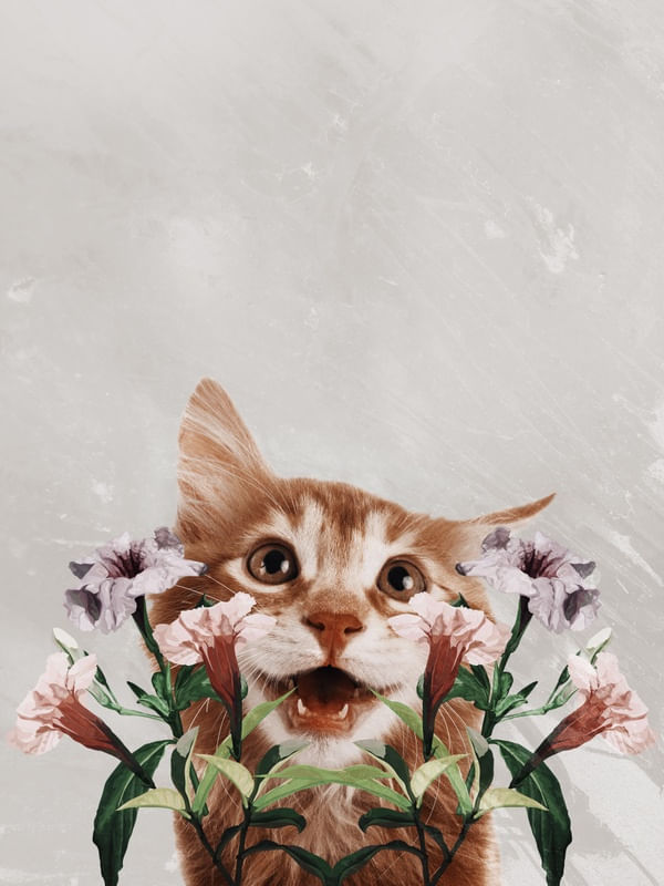 FLORAL CAT BY TAS