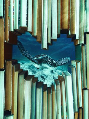 READING TIME BY TAS