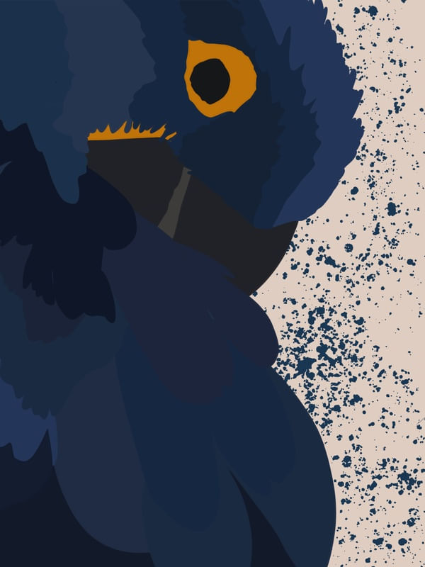 SÉRIE NATUREZA - ARARA AZUL 1