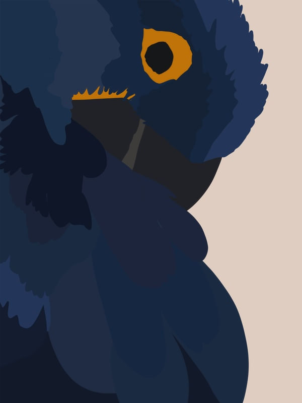 SÉRIE NATUREZA - ARARA AZUL 2