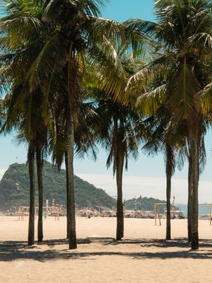 OLHARES DA CIDADE 2020 - RJ - COQUEIROS DE COPACABANA - R