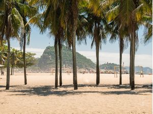 OLHARES DA CIDADE 2020 - RJ - COQUEIROS DE COPACABANA - P