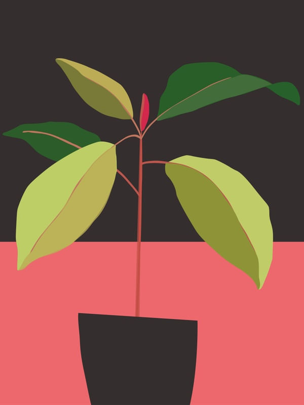 MODERN ABSTRACT ART PLANT 6