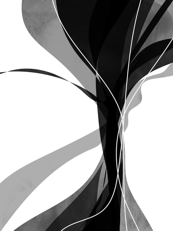 ABSTRATO SINUOSO PRETO II - DÍPTICO