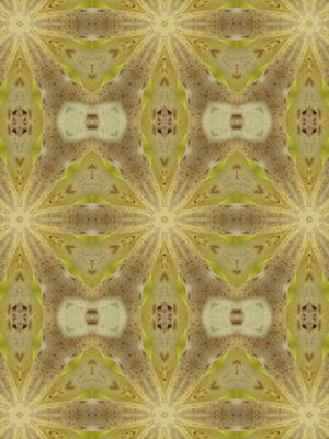 BANANAS ABSTRATAS 1