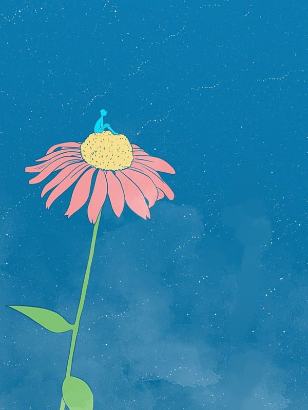 FLOR ROSA E O CÉU