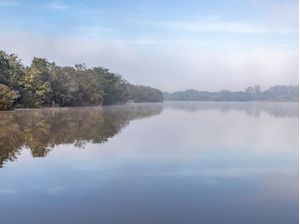 RIO JACUÍ COM VEGETAÇÃO, NÉVOA E REFLEXOS NO INVERNO