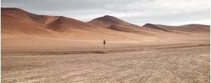 DESERT TREASURES 5