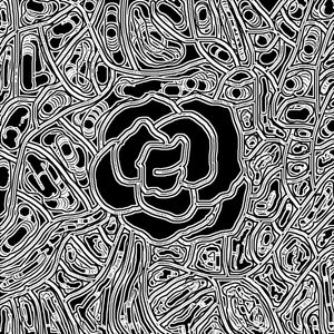 ROSA URBANA BLACK RICARDO MONTEIRO