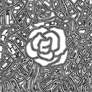 ROSA URBANA RICARDO MONTEIRO