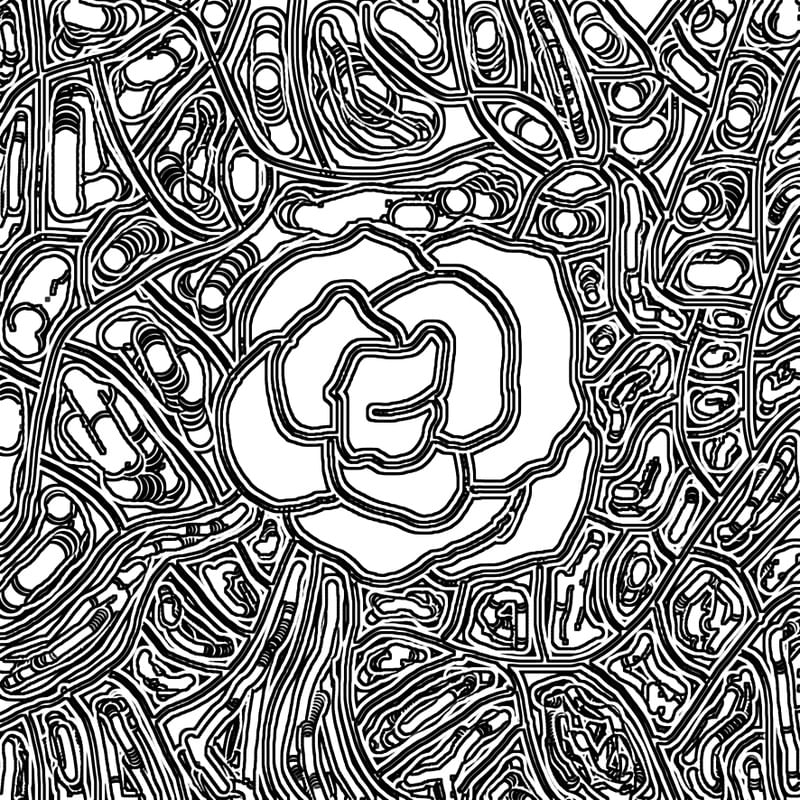 ROSA URBANA RICARDO MONTEIRO