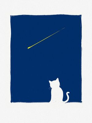 CAT X