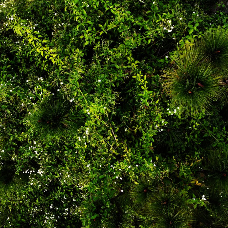 VERDE LB 01
