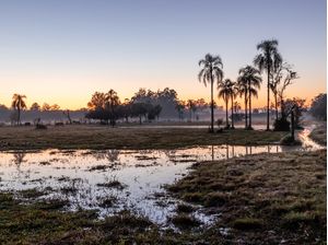 CAMPO EM FAZENDA AO AMANHECER