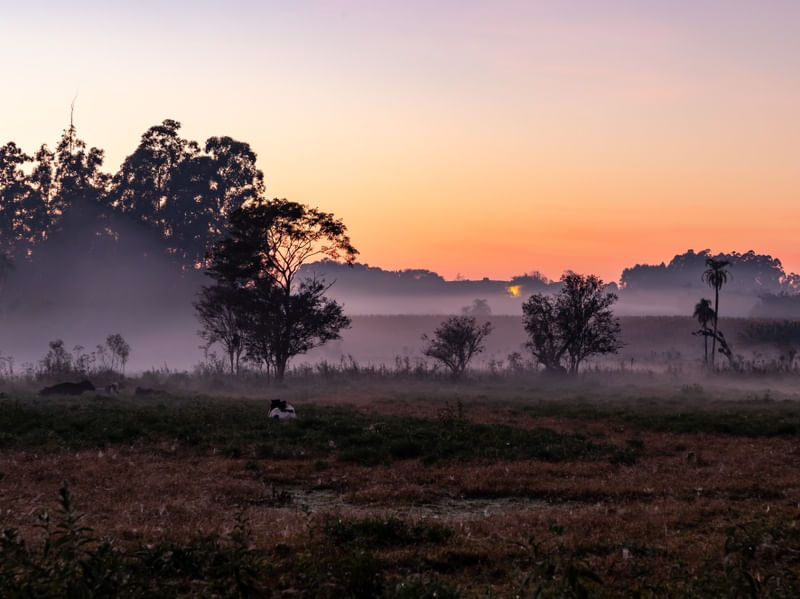 CAMPO EM FAZENDA AO AMANHECER 2