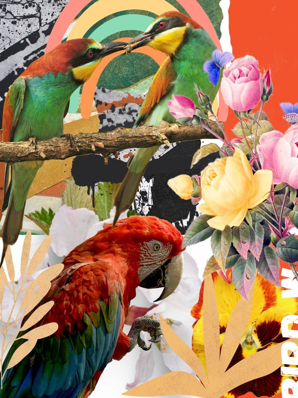 BIRD WALL