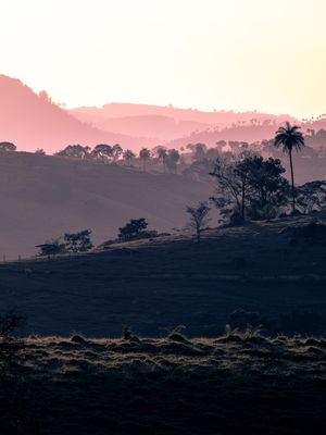 PAISAGEM EM CAMADAS