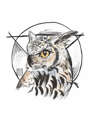 EYE OWL