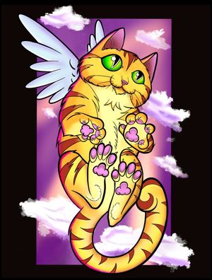 GATO ANJO